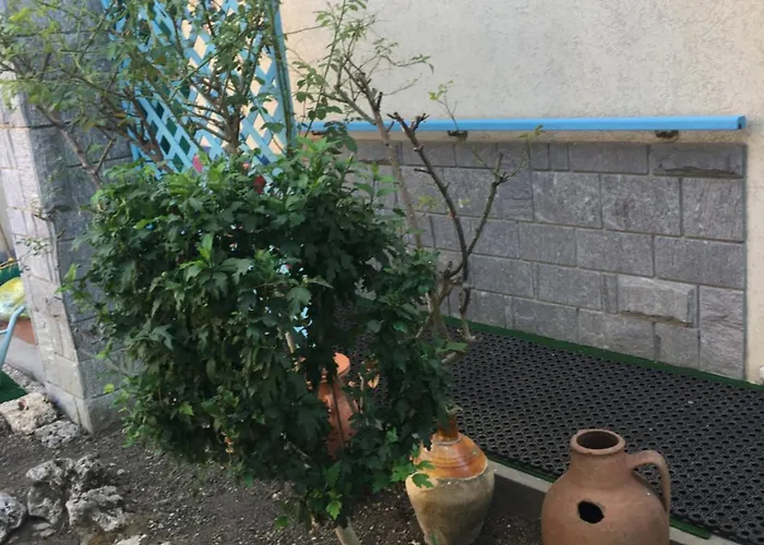 Alloggio in famiglia Lerosedimiamamma Cassine